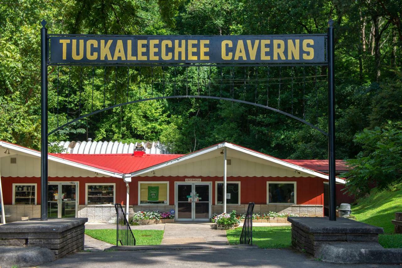 Twin Cub Lodge Tuckaleechee Екстер'єр фото